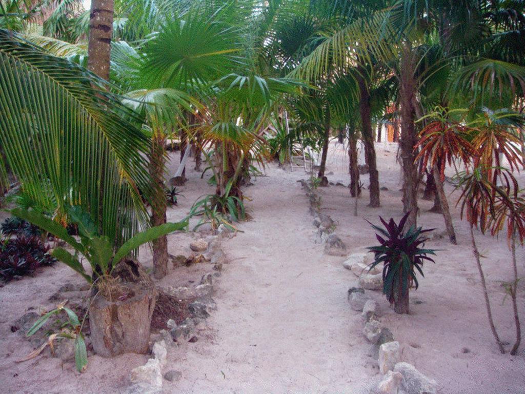 Azucar Hotel Tulum Exterior photo